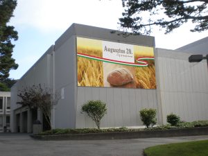 Épületháló Augusztus 20.-a (B típus)