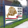 minta1 Molinó B