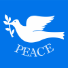 peace1 Molinó B
