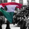 d1-V2 Épületháló A