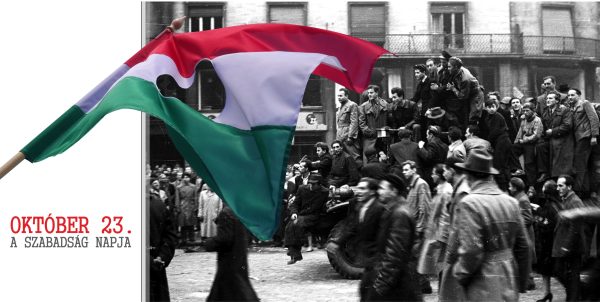 d1-V2 Épületháló A