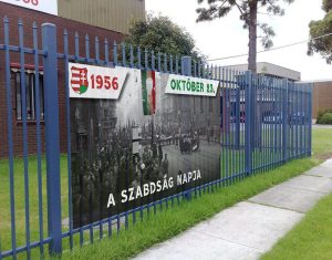 Molinó G