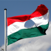 lyukas flag 1956-os emlékzászló középen lyukkal