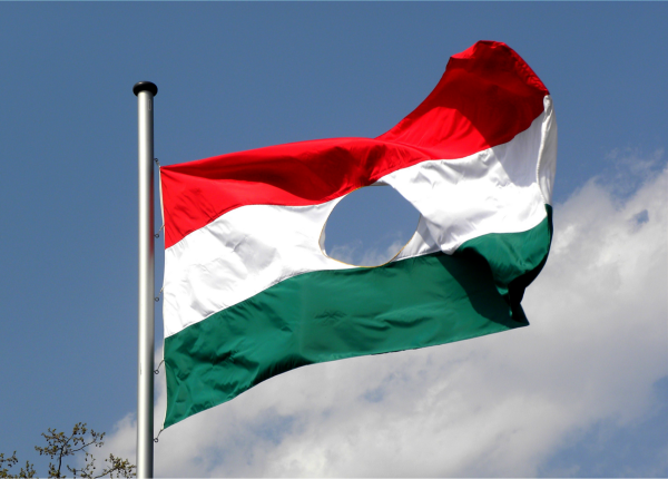 lyukas flag 1956-os emlékzászló középen lyukkal