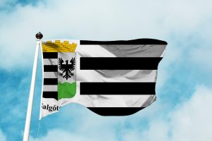 Salgótarján zászlaja