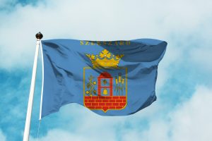 Szekszárd zászlaja